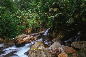 Manto en el Río - El Tucano Resort & Thermal Spa Costa Rica