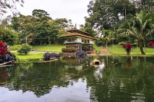 El Tucano Resort & Thermal Spa - resort de aguas termales en la selva tropical de Costa Rica