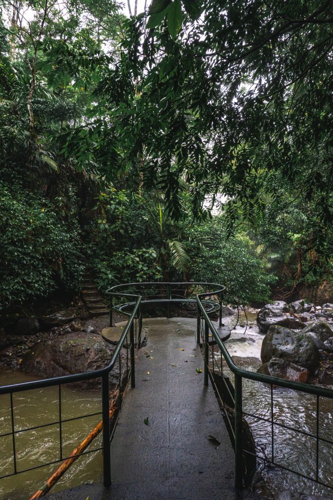 El Tucano Resort & Thermal Spa - resort de aguas termales en la selva tropical de Costa Rica