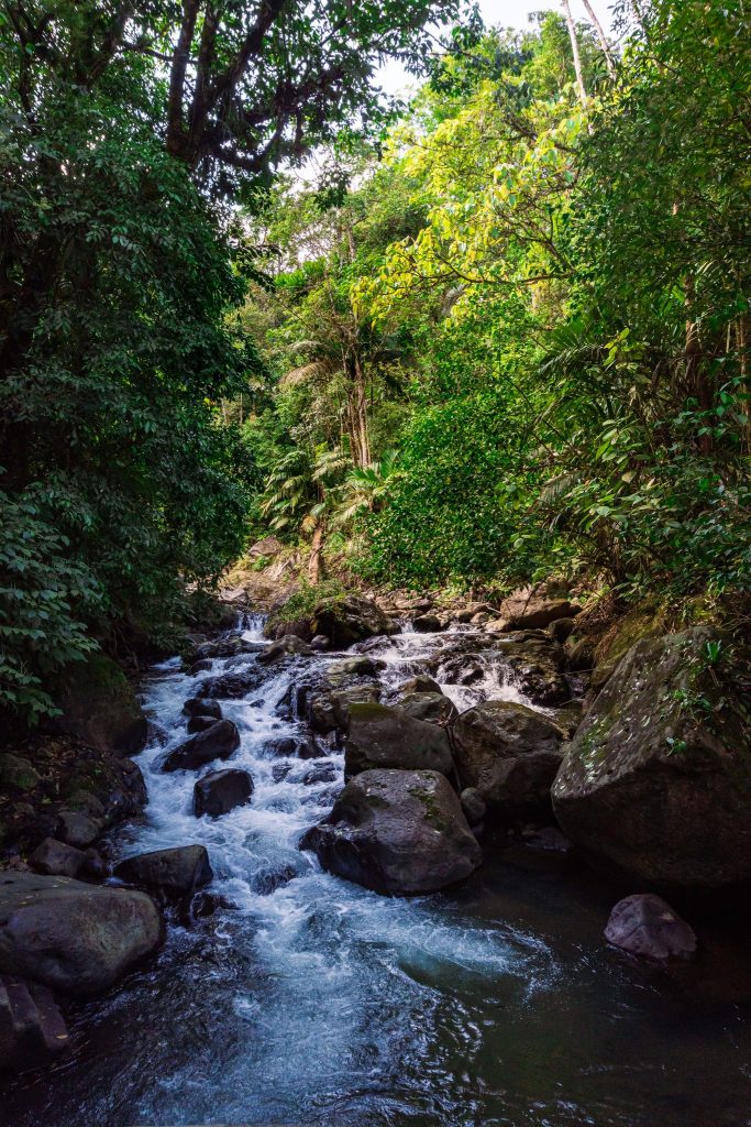 El Tucano Resort
