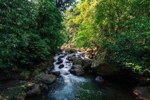 El Tucano Resort & Thermal Spa, aguas termales naturales en San Carlos, Costa Rica