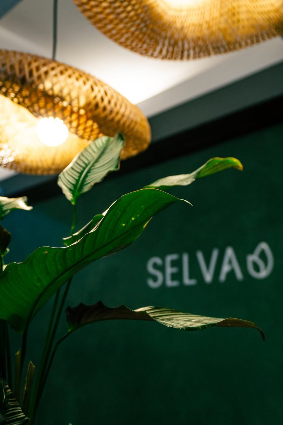 selva-nf-11