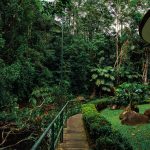 rio-san-rafael-04