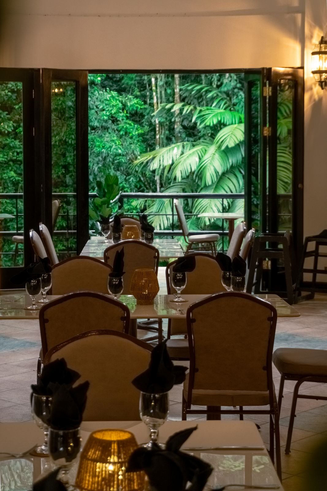 Descubre La Foresta