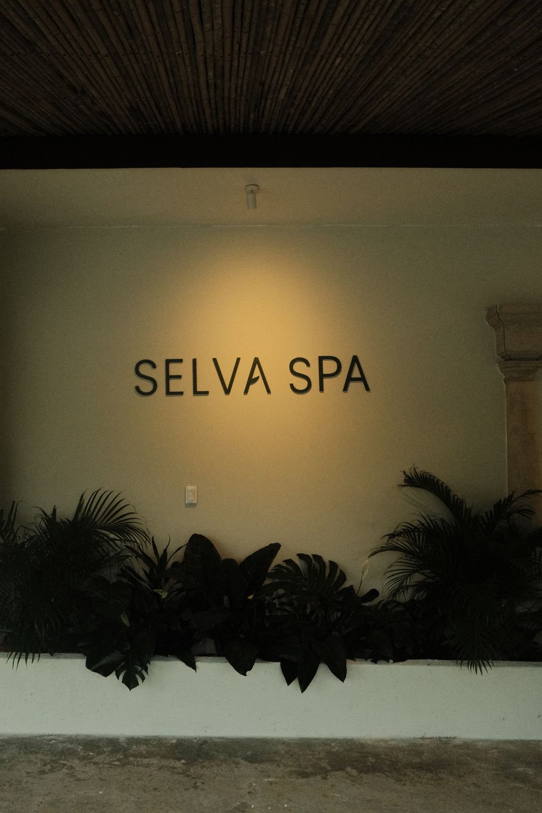 Descubre Selva