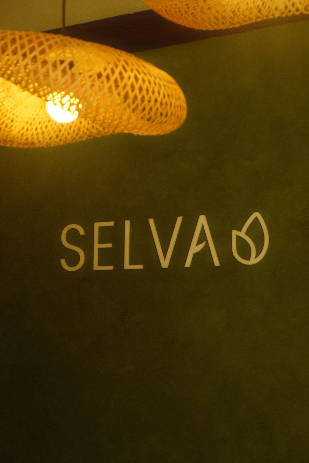 Descubre Selva