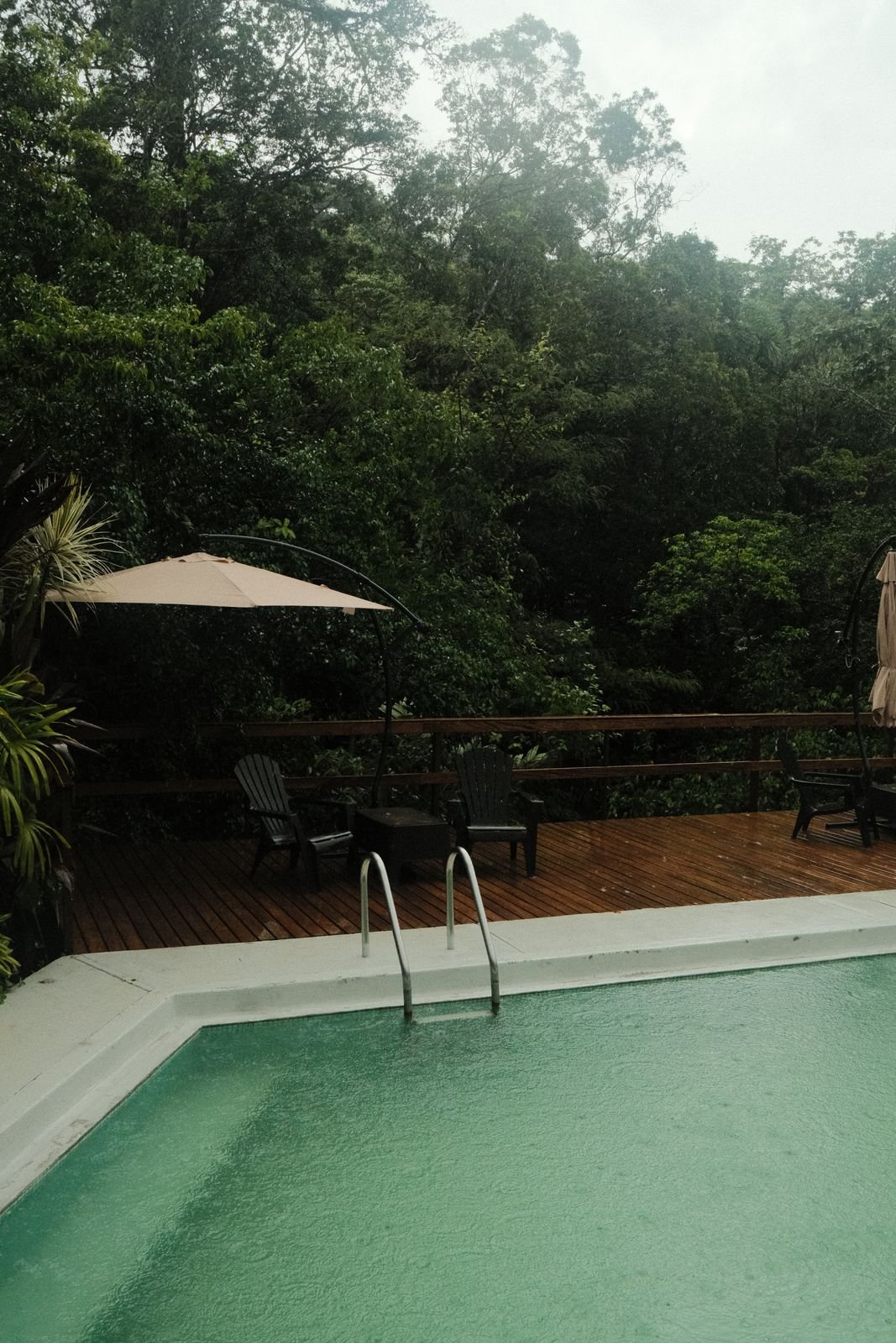 Descubre Selva
